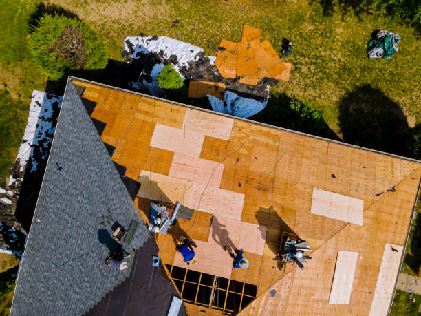 Best Roof Gutter Cleaning  in Taft, CA